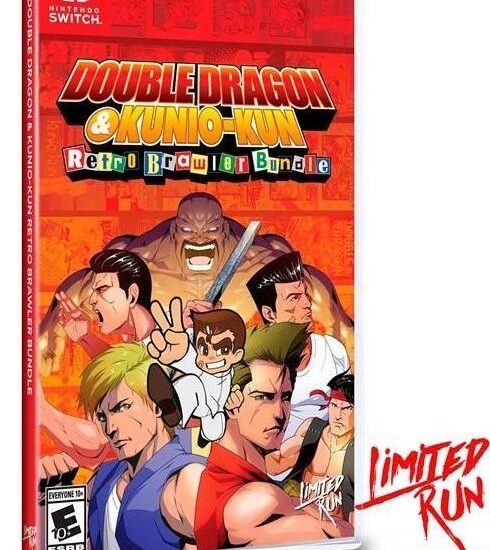 Double Dragon & Kunio-Kun Retro Brawler Bundle (Gra NS)
