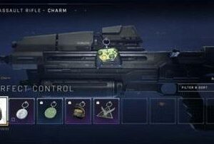Halo Infinite Perfect Control Weapon Charm (Digital)