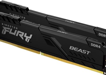 Kingston Fury FURY Beast