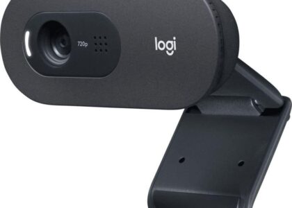 Logitech Kamera Internetowa C505E Hd Webcam Blk Ww (960001372)