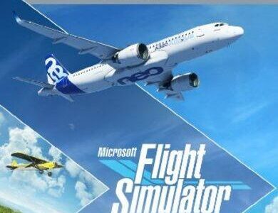 Microsoft Flight Simulator Deluxe Edition (Xbox One Key)