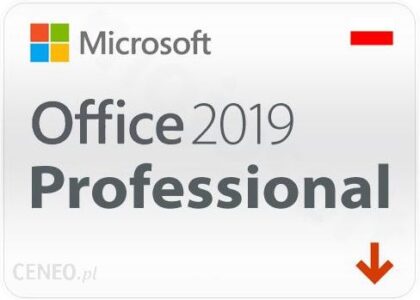 Microsoft Office 2019 Professional