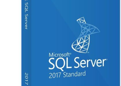 Microsoft SQL Server 2019 Standard + 10 User CAL's