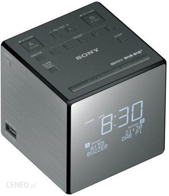 Sony XDR-C1DBP czarny
