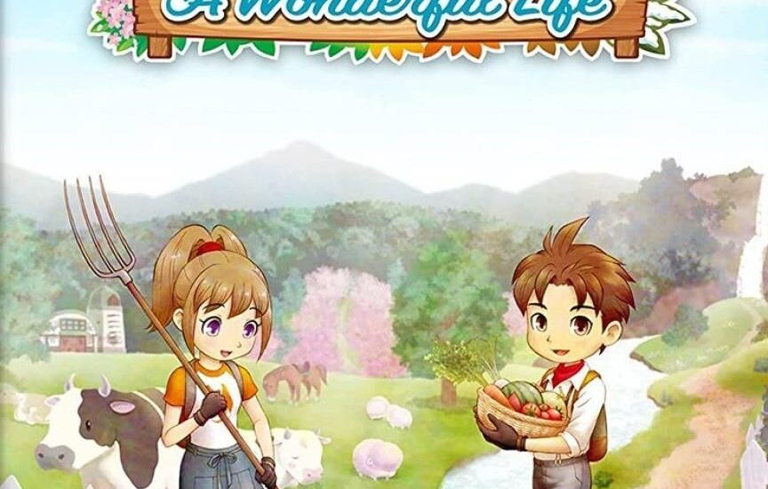 Story of Seasons A Wonderful Life (Gra NS)